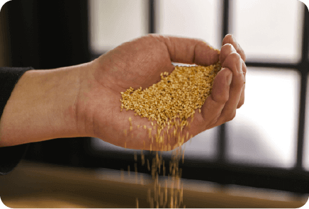 地元京都で直火焙煎した「ごま」