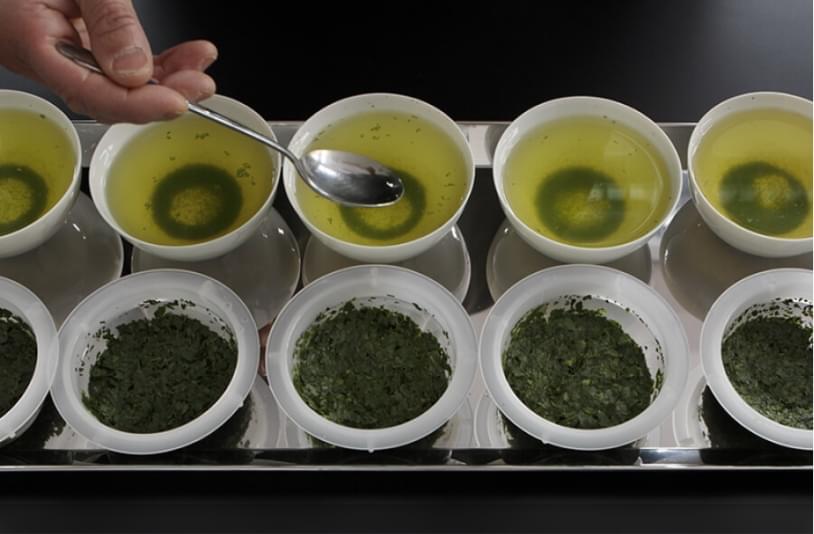 茶の菓