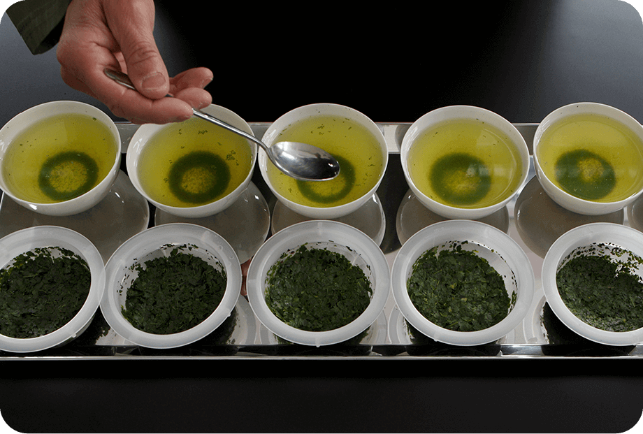 茶葉を見極める「茶鑑定」