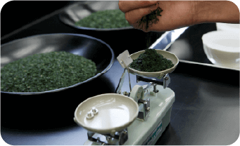 茶葉を見極める「茶鑑定」