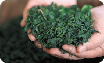 素材を活かす「シェフの技」